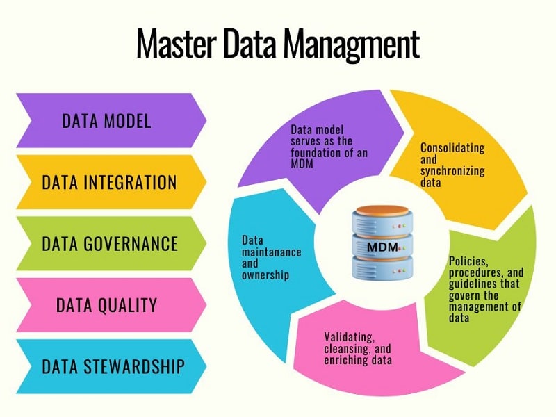 master-data-managment